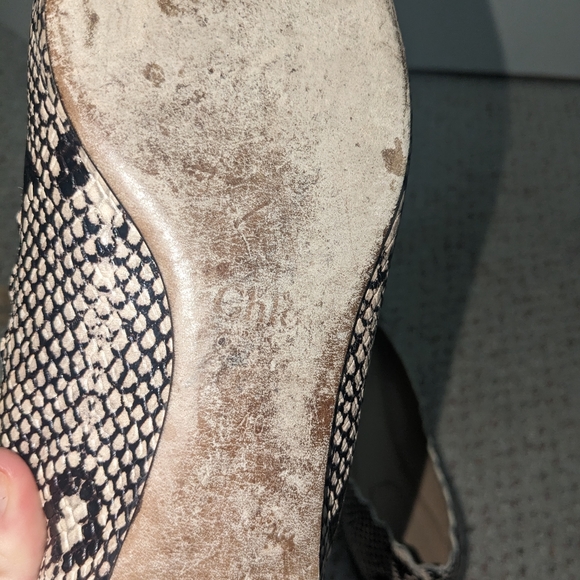 Chloe Lauren Python Embossed Snakeskin scallop Leather Ballet Flats Sz 9.5 $595. - Picture 12 of 12